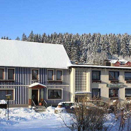 Haus Gruene Insel - Ferienwohnungen Altenau  Eksteriør bilde