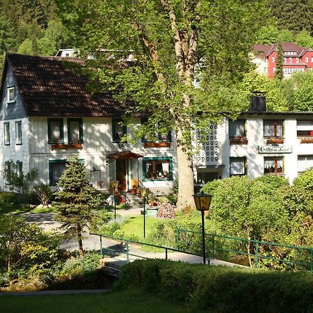 Haus Gruene Insel - Ferienwohnungen Altenau  Eksteriør bilde