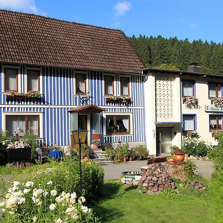Haus Gruene Insel - Ferienwohnungen Altenau  Eksteriør bilde