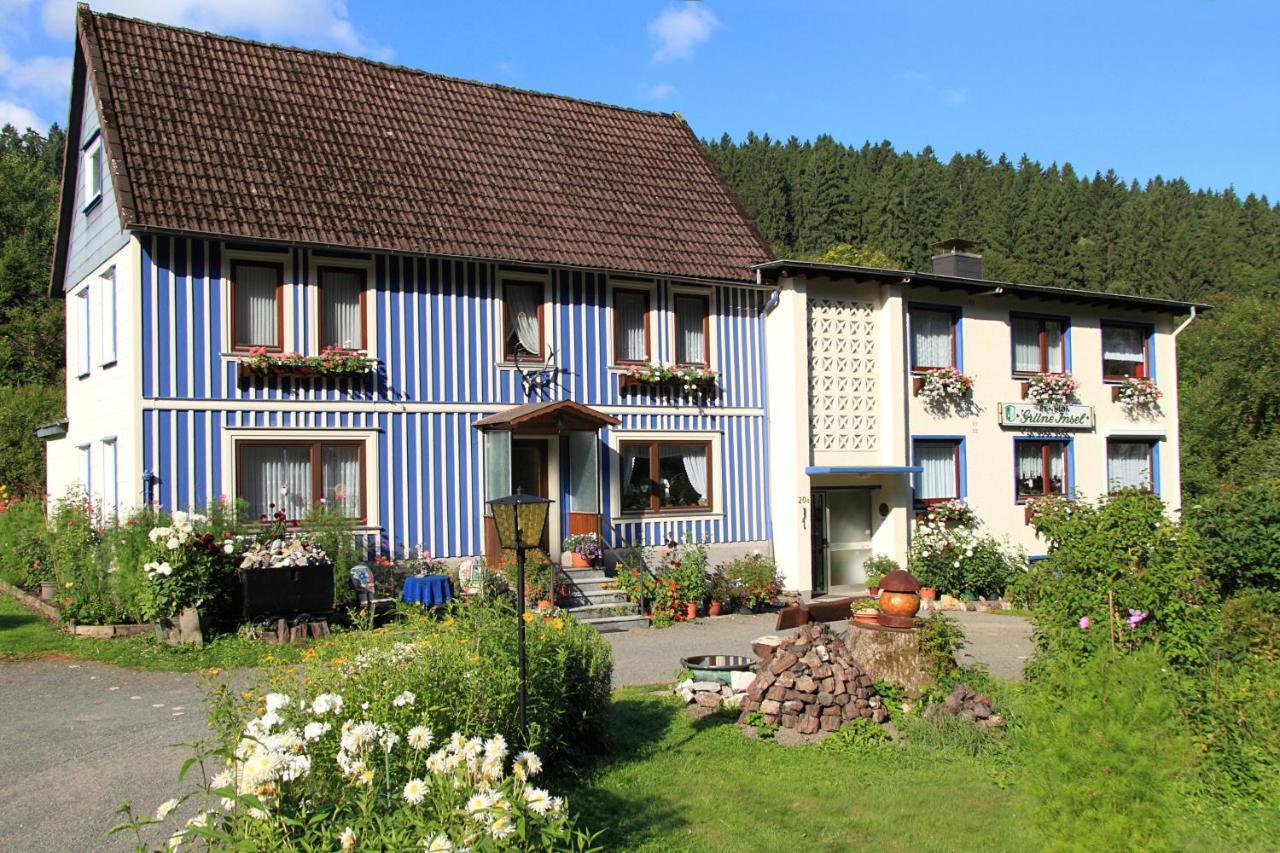 Haus Gruene Insel - Ferienwohnungen Altenau  Eksteriør bilde