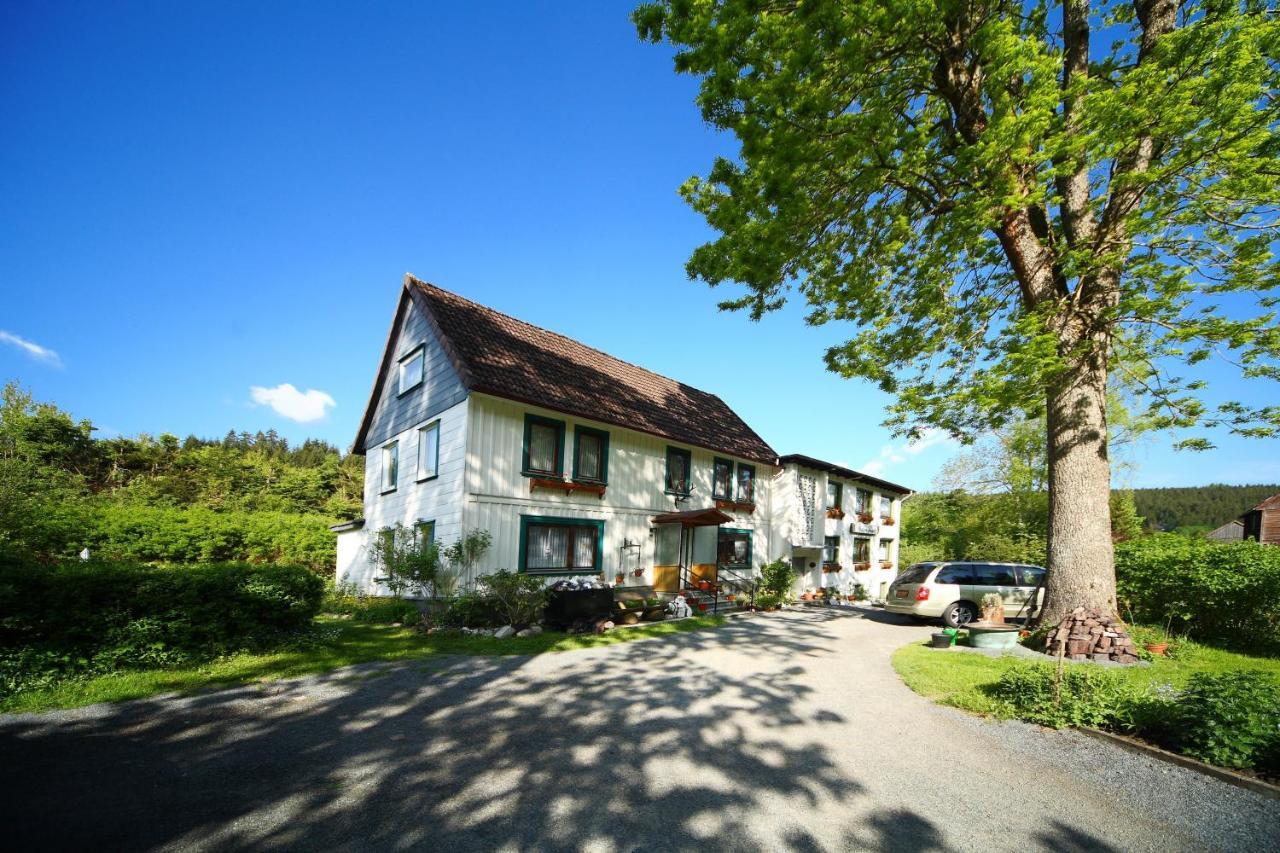 Haus Gruene Insel - Ferienwohnungen Altenau  Eksteriør bilde